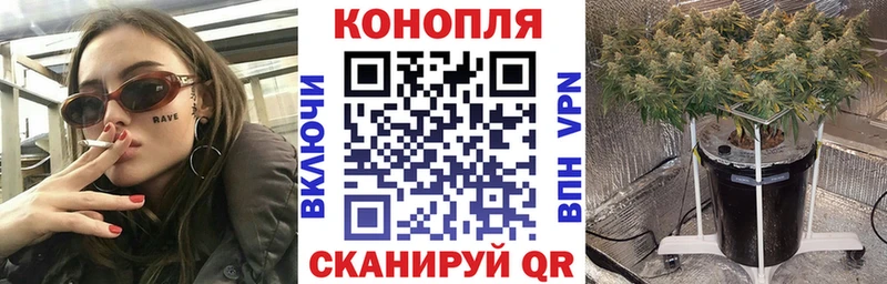 Шишки марихуана индика  Купить  Выборг 